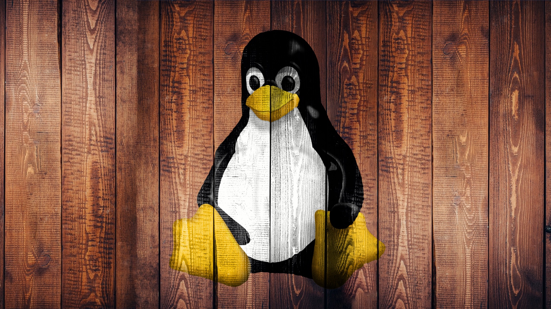 https://www.fengjijiao.cn/wp-content/uploads/2021/09/linux-1962898.jpg